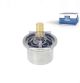 DT Spare Parts Thermostat, Kühlmittel 5.41024