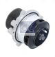 DT Spare Parts Wasserpumpe, Motorkühlung 5.41147