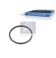 DT Spare Parts Dichtung, Thermostat 5.41575