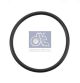 DT Spare Parts Dichtring 5.50243
