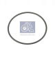 DT Spare Parts Dichtring 5.50244