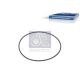 DT Spare Parts Dichtring 5.62073