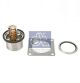 DT Spare Parts Thermostat, Kühlmittel 5.94131
