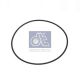 DT Spare Parts Dichtring 6.21030