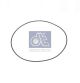 DT Spare Parts Dichtring 6.21490