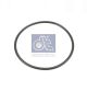 DT Spare Parts Dichtring 6.21491
