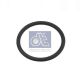 DT Spare Parts Dichtring 6.22321