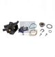 DT Spare Parts Thermostat, Kühlmittel 6.30317