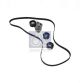 DT Spare Parts Keilriemensatz 6.31604