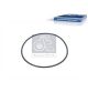 DT Spare Parts Dichtring 6.89206