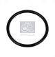 DT Spare Parts Dichtring 6.89208
