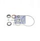 DT Spare Parts Reparatursatz, Starter 6.91522