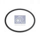 DT Spare Parts Dichtring 7.11165