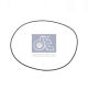 DT Spare Parts Dichtring 7.32050