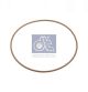 DT Spare Parts Dichtring 7.50519