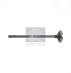 DT Spare Parts Auslassventil 7.51266