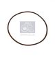 DT Spare Parts Dichtung, Wasserpumpe 7.60164