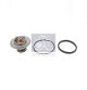 DT Spare Parts Thermostat, Kühlmittel 7.60201
