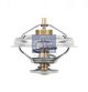 DT Spare Parts Thermostat, Kühlmittel 7.60210