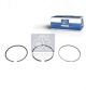 DT Spare Parts Kolbenringsatz 7.94503