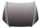VAN WEZEL Motorhaube 0326660