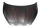 VAN WEZEL Motorhaube 1947660