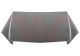 VAN WEZEL Motorhaube 3091660