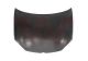 VAN WEZEL Motorhaube 5894660