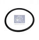 DT Spare Parts Dichtring 3.89531