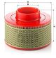 MANN-FILTER Luftfilter C 23 174