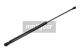 MAXGEAR Gasfeder, Koffer-/Laderaum 12-1713