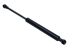 MAXGEAR Gasfeder, Koffer-/Laderaum 12-1805