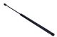 MAXGEAR Gasfeder, Koffer-/Laderaum 12-1920