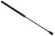 MAXGEAR Gasfeder, Koffer-/Laderaum 12-2055