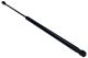 MAXGEAR Gasfeder, Koffer-/Laderaum 12-2142