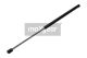 MAXGEAR Gasfeder, Koffer-/Laderaum 12-1527