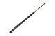 MAXGEAR Gasfeder, Koffer-/Laderaum 12-1566