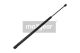 MAXGEAR Gasfeder, Koffer-/Laderaum 12-1676