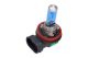 MAXGEAR Glühlampe, Abbiegescheinwerfer 78-0092