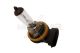 MAXGEAR Glühlampe, Abbiegescheinwerfer 78-0013