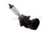 MAXGEAR Glühlampe, Fernscheinwerfer 78-0015