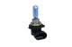MAXGEAR Glühlampe, Fernscheinwerfer 78-0201