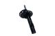 MAXGEAR Stoßdämpfer 11-0617