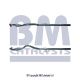 BM Catalysts Abgasrohr BM50100