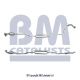 BM Catalysts Katalysator BM91576H
