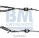 BM Catalysts Katalysator BM92173H