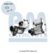 BM Catalysts Ruß-/Partikelfilter, Abgasanlage BM11582H