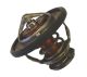 BorgWarner (Wahler) Thermostat, Kühlmittel 410231.82D