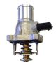 BorgWarner (Wahler) Thermostat, Kühlmittel 4431.105D