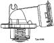 BorgWarner (Wahler) Thermostat, Kühlmittel 4490.87D